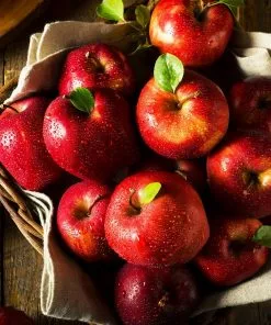 Fast Growing Trees Red Delicious Apple Tree Our Newest Arrivals