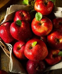 Fast Growing Trees Red Delicious Apple Tree Our Newest Arrivals