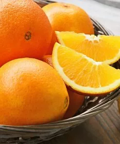 Fast Growing Trees Robertson Navel Orange 13 Fast Growing Trees Robertson Navel Orange