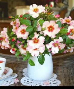 Fast Growing Trees Rose Trees Raspberry Kiss™ Rose Tree 9 Fast Growing Trees Rose Trees Raspberry Kiss™ Rose Tree