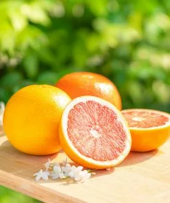 Fast Growing Trees Our Newest Arrivals Ruby Red Grapefruit Tree