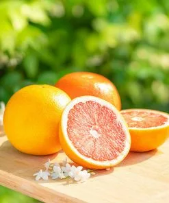 Fast Growing Trees Citrus Trees Ruby Red Grapefruit Tree