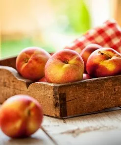 Fast Growing Trees See All Fruit Trees Sundollar Nectarine Tree (USDA Organic) 10 Fast Growing Trees See All Fruit Trees Sundollar Nectarine Tree (USDA Organic)