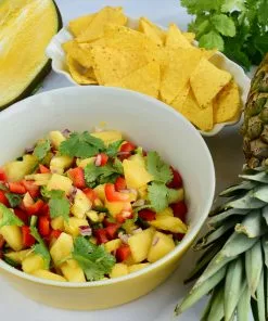 Fast Growing Trees Mango Trees Salsa Kit 13 Fast Growing Trees Mango Trees Salsa Kit