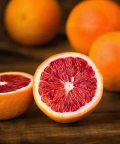 Fast Growing Trees Sanguinelli Blood Orange Tree