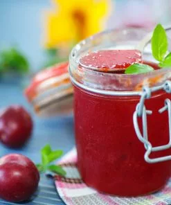 Fast Growing Trees Plum Trees Santa Rosa Plum Tree 13 Fast Growing Trees Plum Trees Santa Rosa Plum Tree