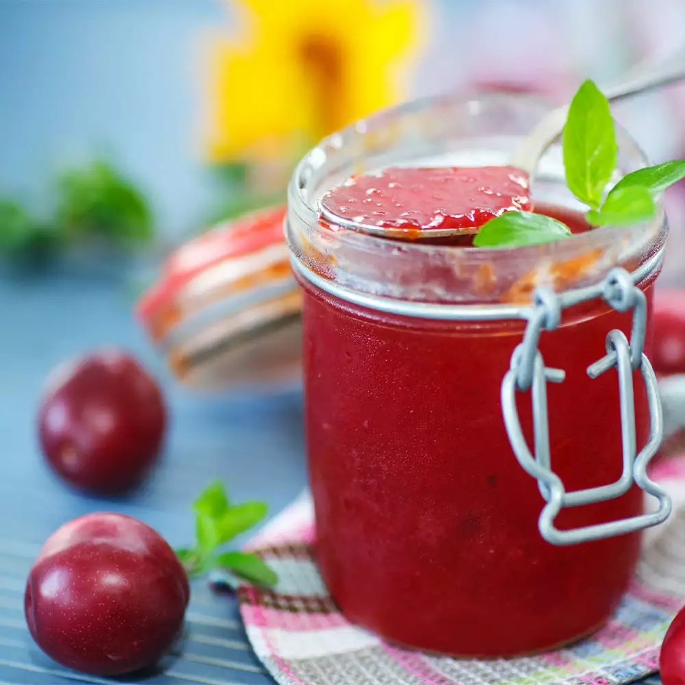 Fast Growing Trees Plum Trees Santa Rosa Plum Tree 8 Fast Growing Trees Plum Trees Santa Rosa Plum Tree