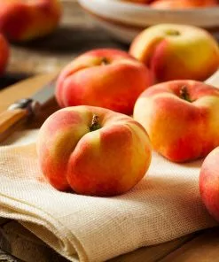 Fast Growing Trees Saturn Peach Tree Peach Trees 9 Fast Growing Trees Saturn Peach Tree Peach Trees