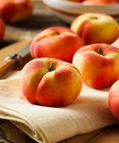 Fast Growing Trees Donut Saturn Peach Tree See All Fruit Trees