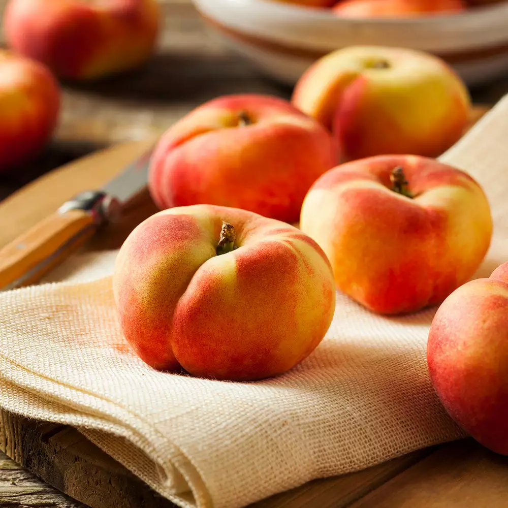 Fast Growing Trees Donut Saturn Peach Tree See All Fruit Trees 4 Fast Growing Trees Donut Saturn Peach Tree See All Fruit Trees