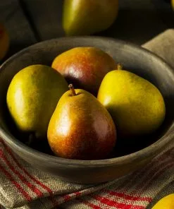 Fast Growing Trees Seckel Pear Tree Pear Trees 8 Fast Growing Trees Seckel Pear Tree Pear Trees