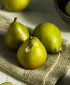 Fast Growing Trees Seckel Pear Tree Pear Trees 10 Fast Growing Trees Seckel Pear Tree Pear Trees