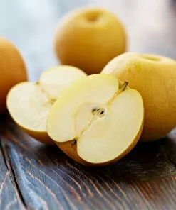 Fast Growing Trees Shinseiki Asian Pear Pear Trees 10 Fast Growing Trees Shinseiki Asian Pear Pear Trees