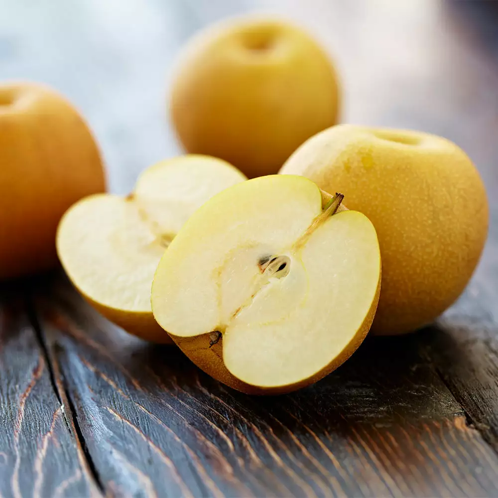 Fast Growing Trees Shinseiki Asian Pear Tree Pear Trees 6 Fast Growing Trees Shinseiki Asian Pear Tree Pear Trees