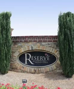 Fast Growing Trees Sky Pencil Holly Tree Holly Trees 11 Fast Growing Trees Sky Pencil Holly Tree Holly Trees