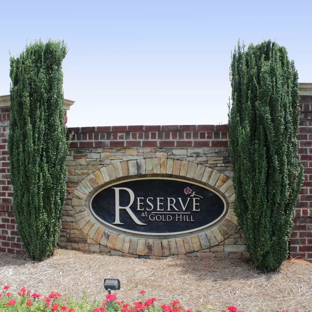 Fast Growing Trees Sky Pencil Holly Tree Holly Trees 7 Fast Growing Trees Sky Pencil Holly Tree Holly Trees