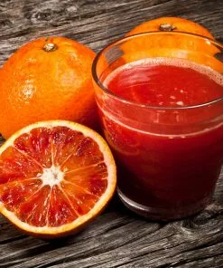 Fast Growing Trees Citrus Trees Smith Red Orange 13 Fast Growing Trees Citrus Trees Smith Red Orange