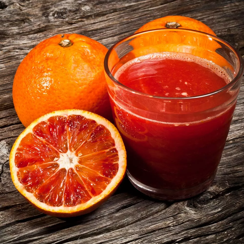 Fast Growing Trees Citrus Trees Smith Red Orange 8 Fast Growing Trees Citrus Trees Smith Red Orange