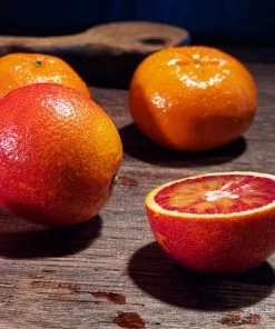 Fast Growing Trees Citrus Trees Smith Red Orange 12 Fast Growing Trees Citrus Trees Smith Red Orange