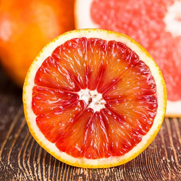 Fast Growing Trees Citrus Trees Smith Red Orange 3 Fast Growing Trees Citrus Trees Smith Red Orange