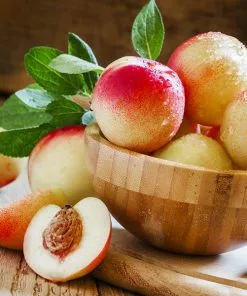 Fast Growing Trees Snow Queen Nectarine Tree