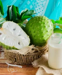Fast Growing Trees Soursop 'Guanabana' Tree Tropical Fruit Trees 12 Fast Growing Trees Soursop 'Guanabana' Tree Tropical Fruit Trees
