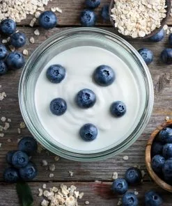 Fast Growing Trees Spartan Blueberry Bush 12 Fast Growing Trees Spartan Blueberry Bush