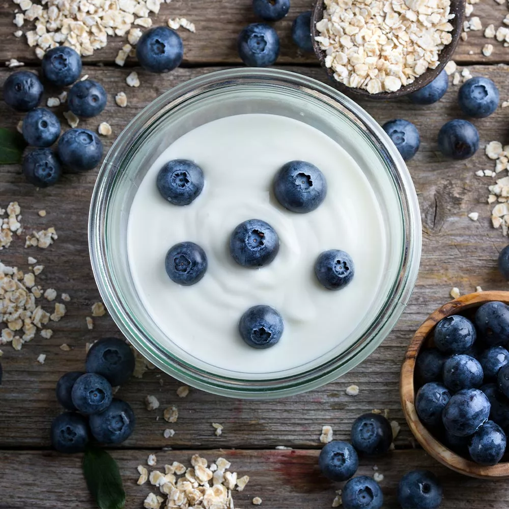 Fast Growing Trees Spartan Blueberry Bush 7 Fast Growing Trees Spartan Blueberry Bush