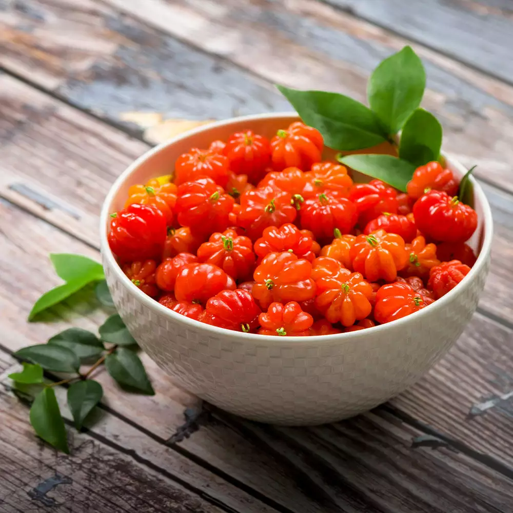 Fast Growing Trees Star Cherry Tree (Pitanga) Cherry Trees 6 Fast Growing Trees Star Cherry Tree (Pitanga) Cherry Trees