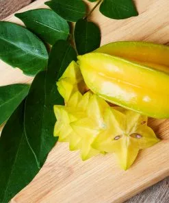 Fast Growing Trees Starfruit 'Carambola' Tree 9 Fast Growing Trees Starfruit 'Carambola' Tree