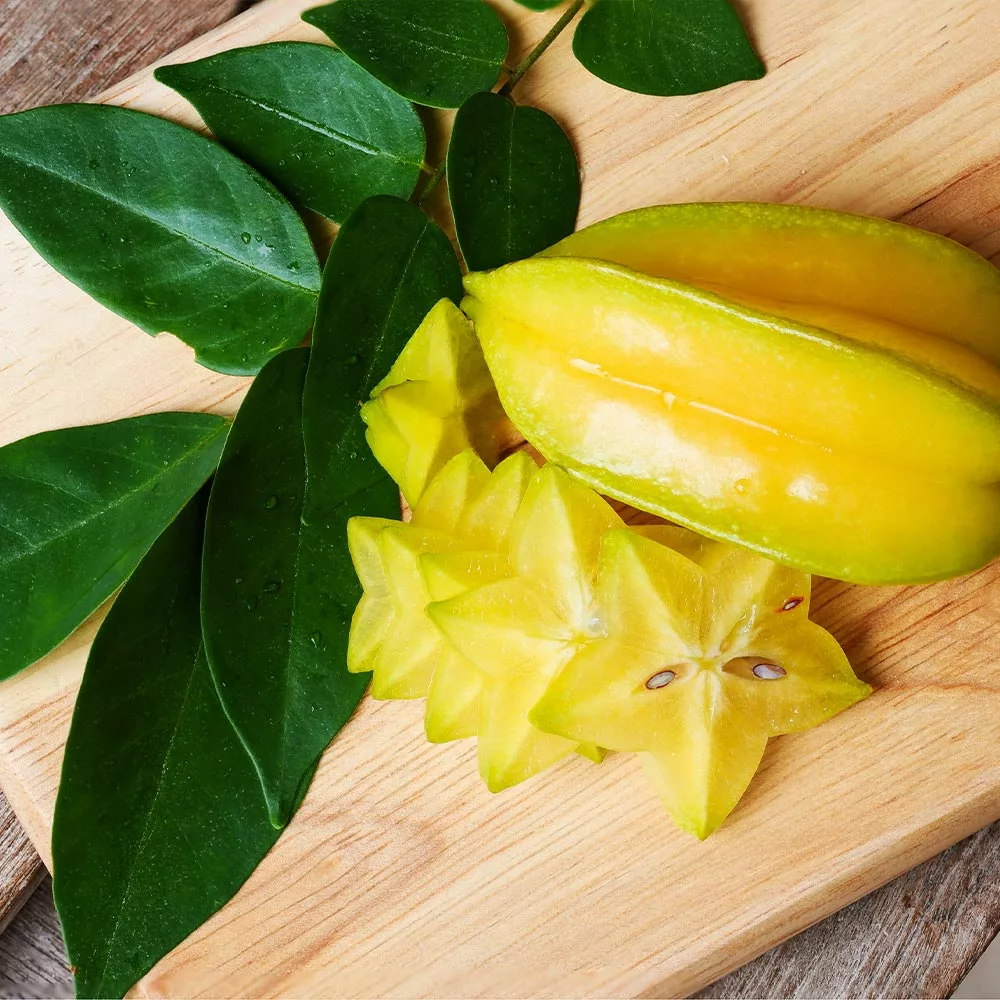 Fast Growing Trees Starfruit 'Carambola' Tree 5 Fast Growing Trees Starfruit 'Carambola' Tree