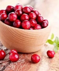 Fast Growing Trees Cranberry Bushes Stevens Cranberry Plant - USDA Organic 9 Fast Growing Trees Cranberry Bushes Stevens Cranberry Plant - USDA Organic