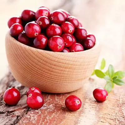 Fast Growing Trees Cranberry Bushes Stevens Cranberry Plant - USDA Organic 6 Fast Growing Trees Cranberry Bushes Stevens Cranberry Plant - USDA Organic