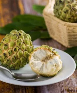 Fast Growing Trees See All Fruit Trees Sugar Apple Tree (Sweetsop Tree)