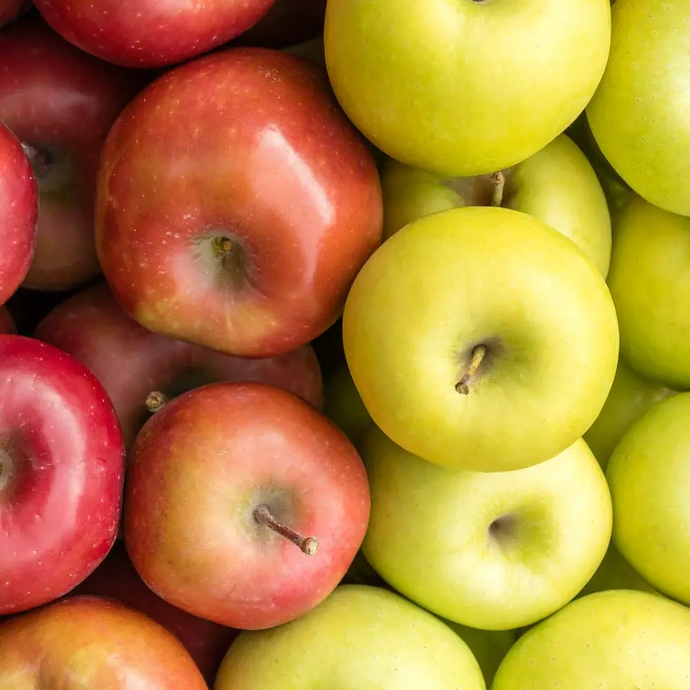 Fast Growing Trees 3-in-1 Apple Surprise Tree 5 Fast Growing Trees 3-in-1 Apple Surprise Tree