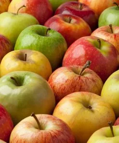 Fast Growing Trees Apple Trees 4-in-1 Apple Surprise Tree 9 Fast Growing Trees Apple Trees 4-in-1 Apple Surprise Tree