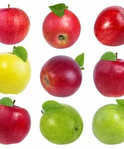 Fast Growing Trees Apple Trees 4-in-1 Apple Surprise Tree