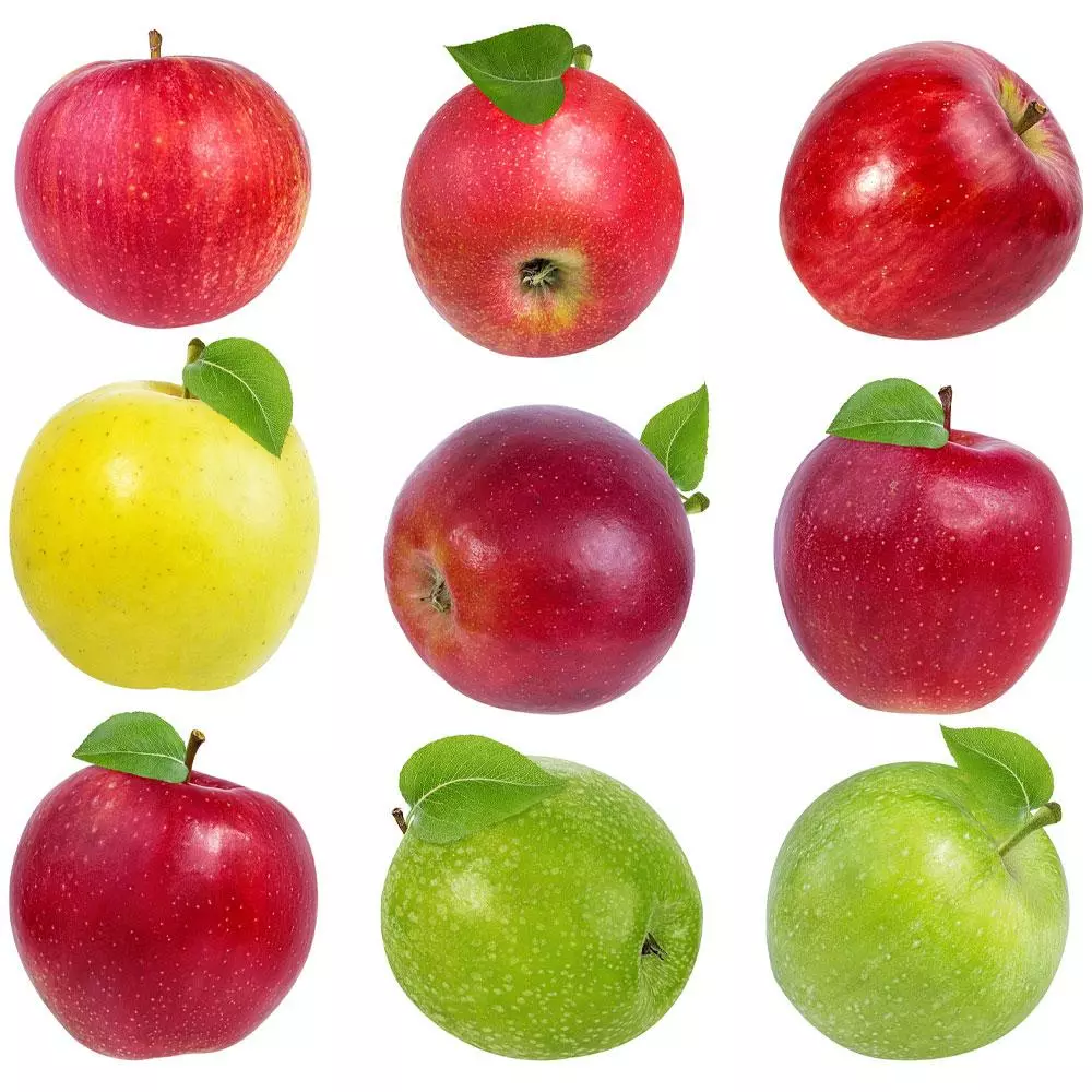 Fast Growing Trees Apple Trees 4-in-1 Apple Surprise Tree 4 Fast Growing Trees Apple Trees 4-in-1 Apple Surprise Tree