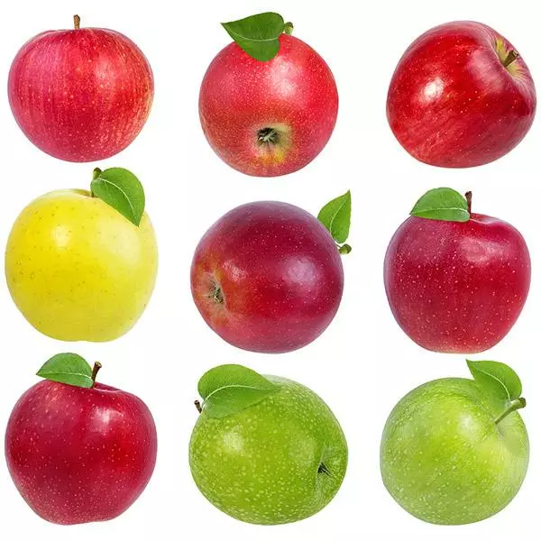 Fast Growing Trees 5-in-1 Apple Surprise Tree Apple Trees 3 Fast Growing Trees 5-in-1 Apple Surprise Tree Apple Trees