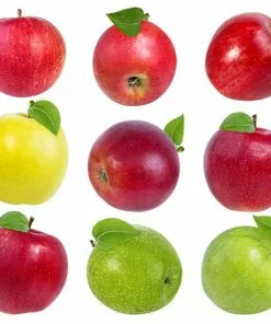 Fast Growing Trees 2-in-1 Apple Surprise Tree