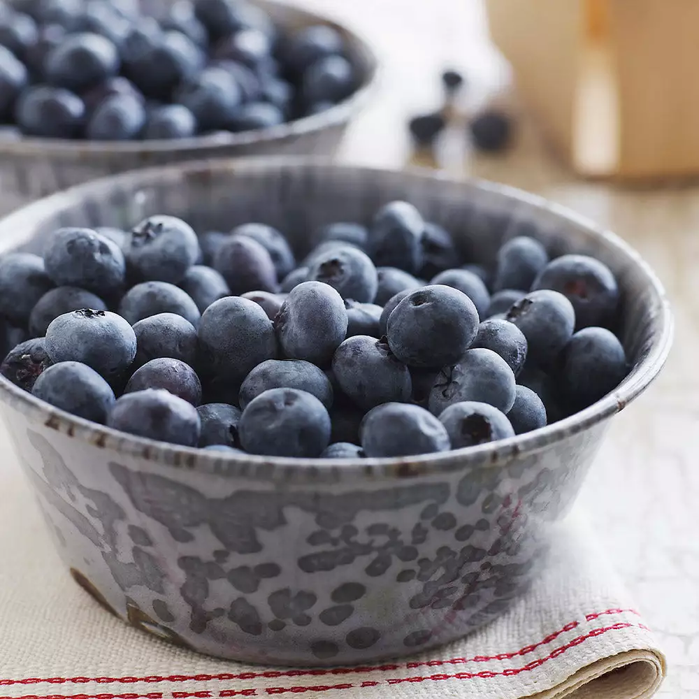 Fast Growing Trees Blueberry Bushes Sweetheart Blueberry Bush - USDA Organic 5 Fast Growing Trees Blueberry Bushes Sweetheart Blueberry Bush - USDA Organic