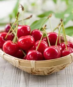 Fast Growing Trees Sweetheart Cherry Tree Cherry Trees