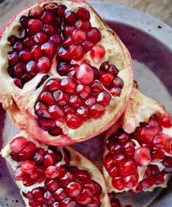 Fast Growing Trees See All Fruit Trees Texas Pink Pomegranate Tree 7 Fast Growing Trees See All Fruit Trees Texas Pink Pomegranate Tree