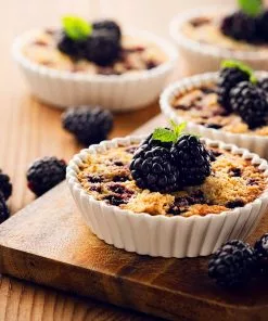 Fast Growing Trees Blackberry Bushes Thornless Blackberry 9 Fast Growing Trees Blackberry Bushes Thornless Blackberry