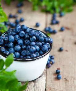 Fast Growing Trees Tifblue Blueberry - USDA Organic