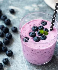 Fast Growing Trees Blueberry Bushes Tifblue Blueberry Bush 12 Fast Growing Trees Blueberry Bushes Tifblue Blueberry Bush