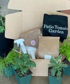 Fast Growing Trees Shop Indoor & Patio Fruit Patio Tomato Garden 11 Fast Growing Trees Shop Indoor & Patio Fruit Patio Tomato Garden