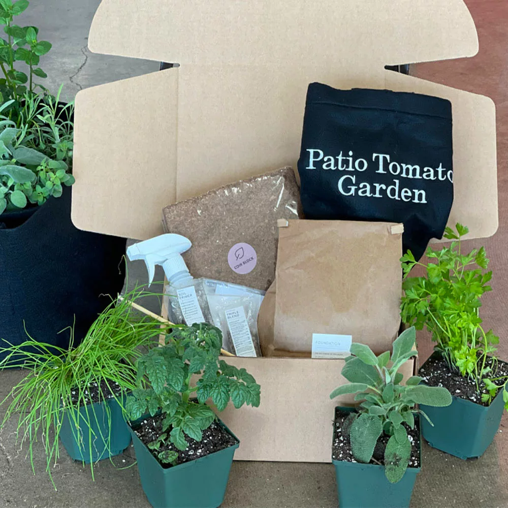 Fast Growing Trees Shop Indoor & Patio Fruit Patio Tomato Garden 7 Fast Growing Trees Shop Indoor & Patio Fruit Patio Tomato Garden