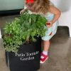 Fast Growing Trees Shop Indoor & Patio Fruit Patio Tomato Garden 2 Fast Growing Trees Shop Indoor & Patio Fruit Patio Tomato Garden