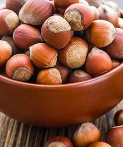 Fast Growing Trees Nut Trees Tonda Di Giffoni Filbert 9 Fast Growing Trees Nut Trees Tonda Di Giffoni Filbert